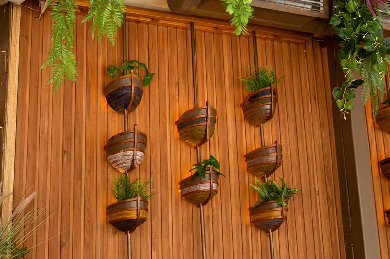 Consejos para decorar con plantas de invierno para terraza.